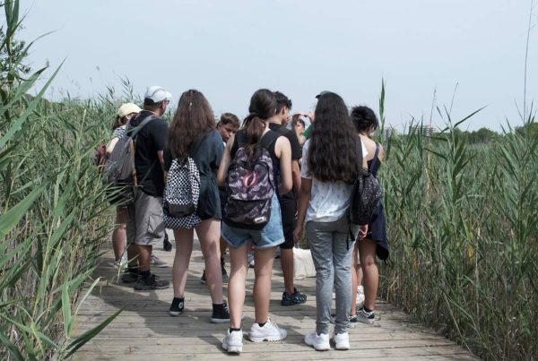Verano DiverActivo con talleres para los más pequeños de la familia del Observatori del Canvi Climàtic