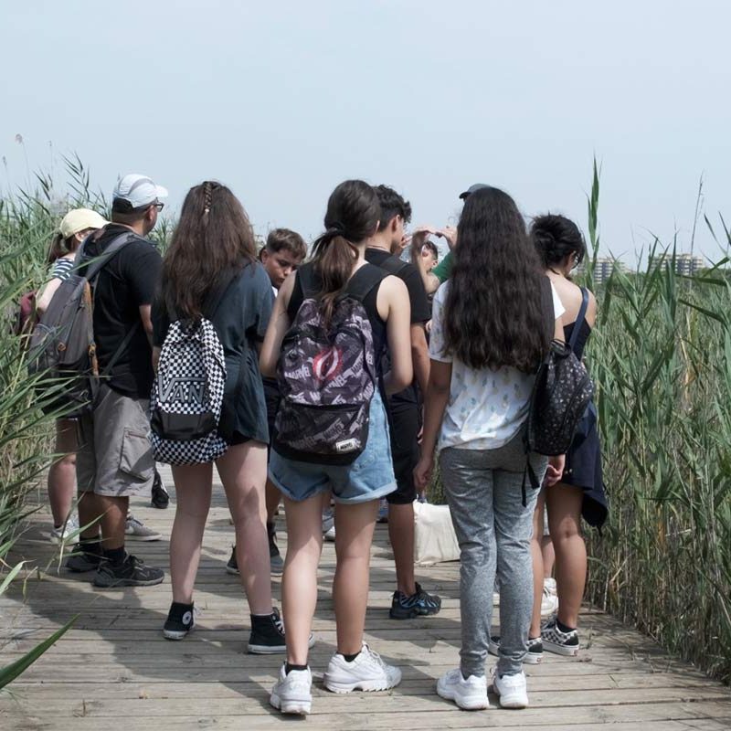 Verano DiverActivo con talleres para los más pequeños de la familia del Observatori del Canvi Climàtic