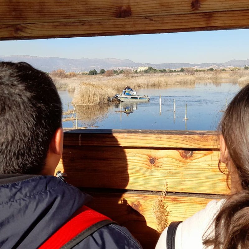 Cambio Climático real - Wetlands4climate - València Clima i Energia