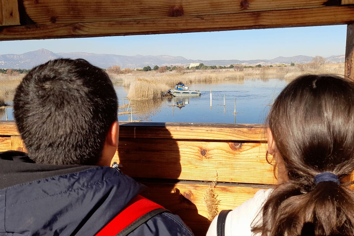 Cambio Climático real - Wetlands4climate - València Clima i Energia