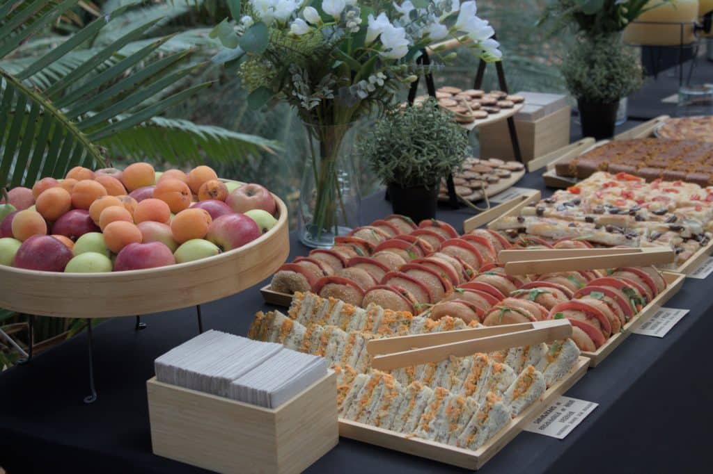 IMG_0033-1024x682