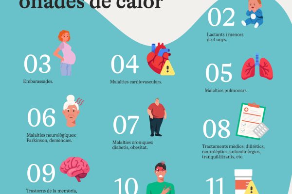 VS - Factors Personals_VAL